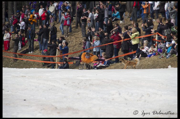 Edizione 2012 – foto 215